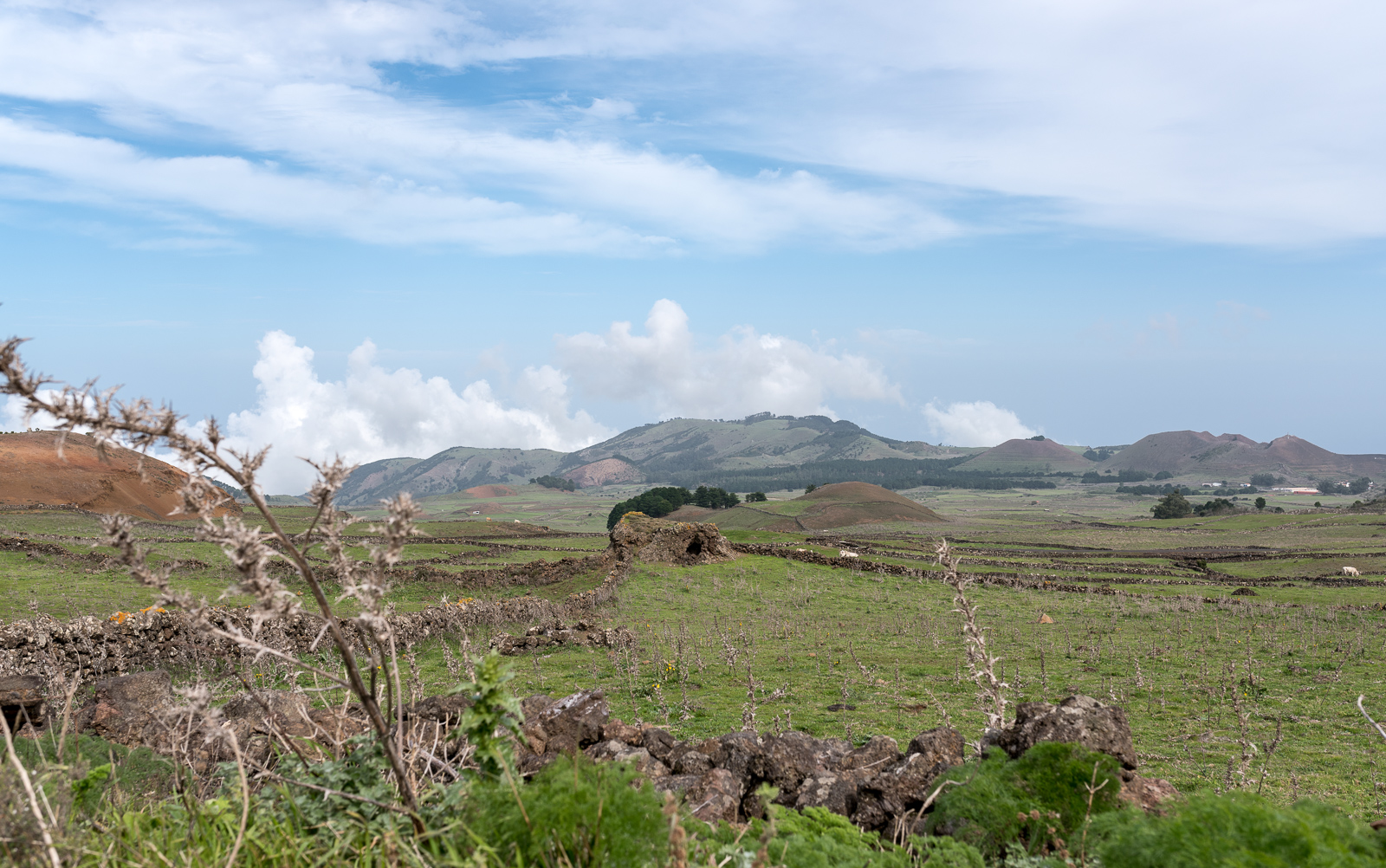 Meseta de Nisdafe