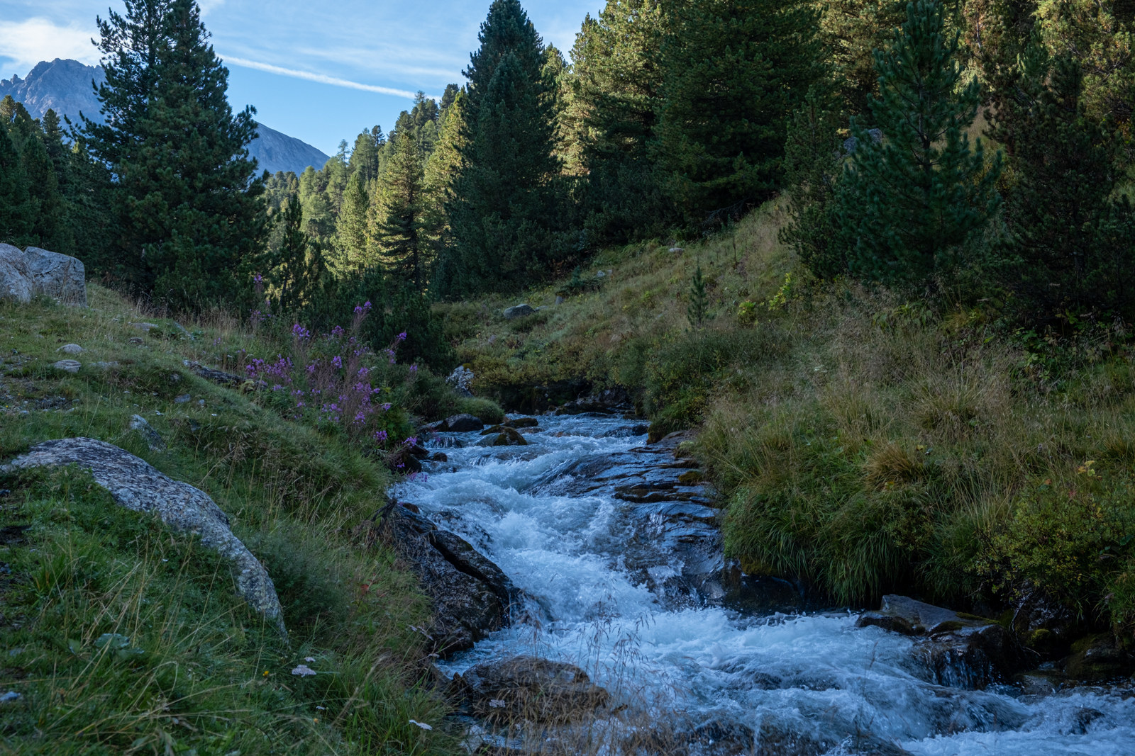 An der Clemgia entlang