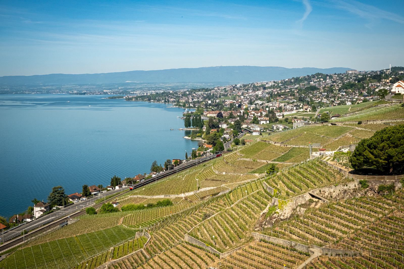 Im Lavaux