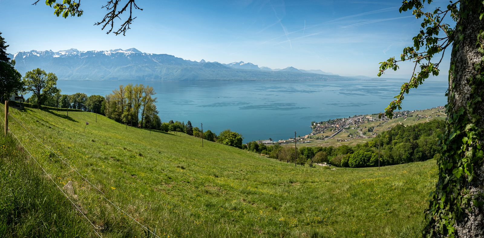 Oberhalb des Lavaux