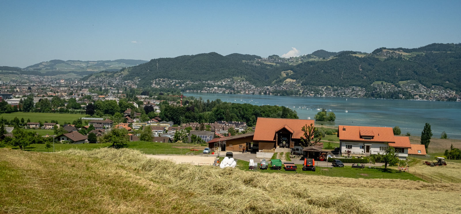 Der Thuner See