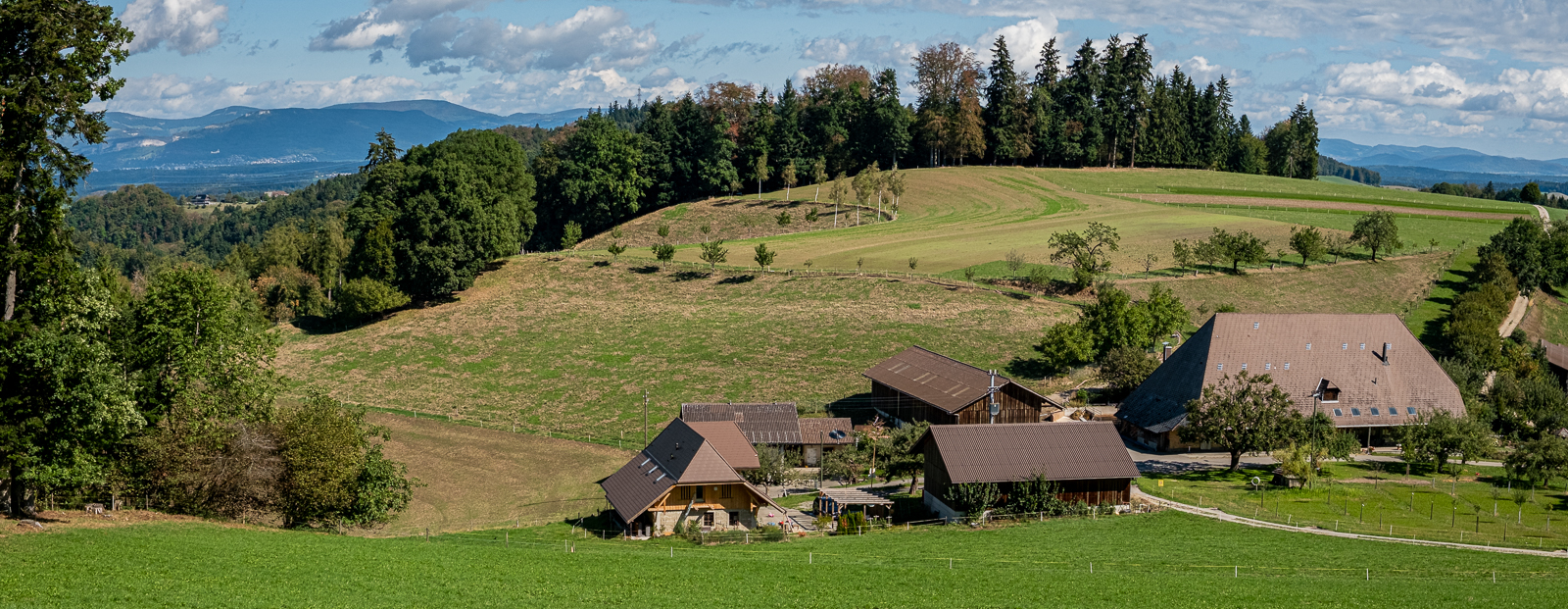 Bauernhof