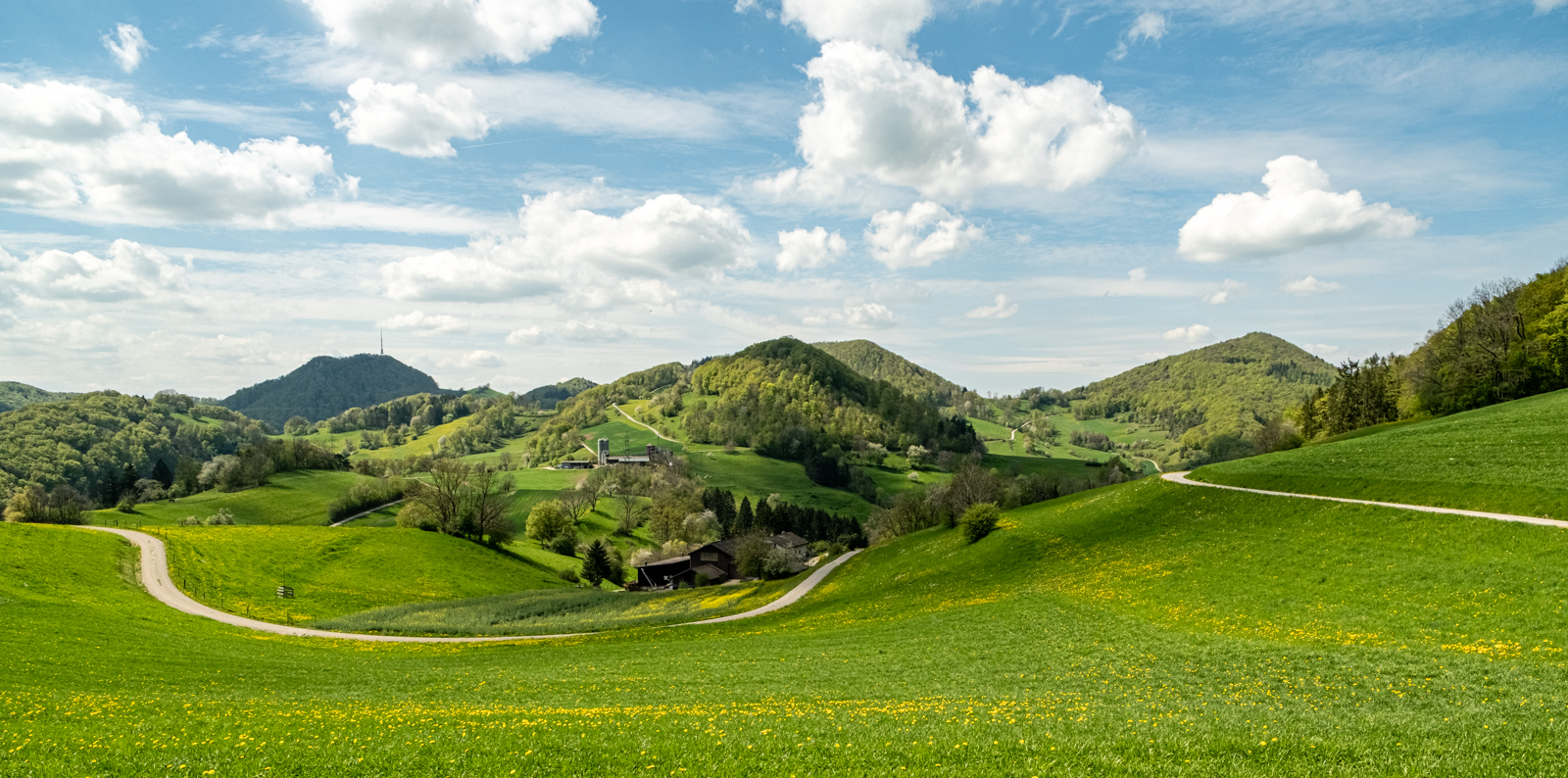 An der Stafelegg