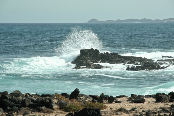 Fuerteventura - Küste