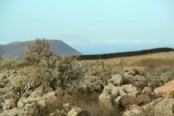 Fuerteventura - Blick über die Nordküste nach Lanzarote