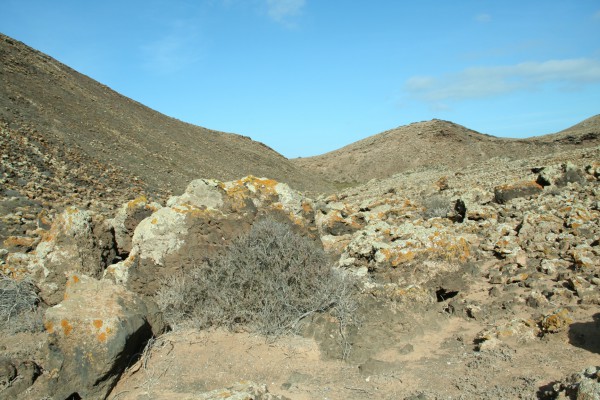 Fuerteventura - Im Krater des Bayuyo